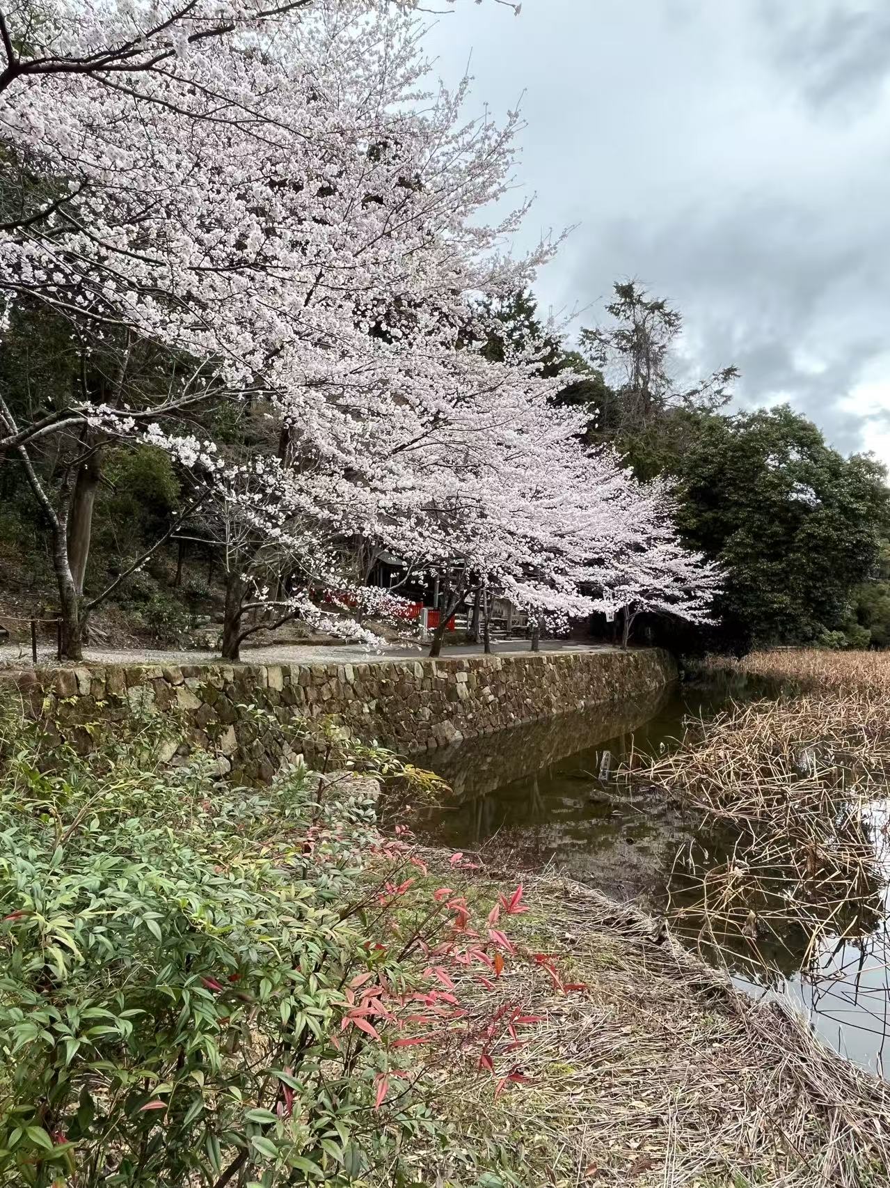 Conte d’Automne – Le Japon des rêves en couleurs d’automne 11 jours (19 Nov. 2026)