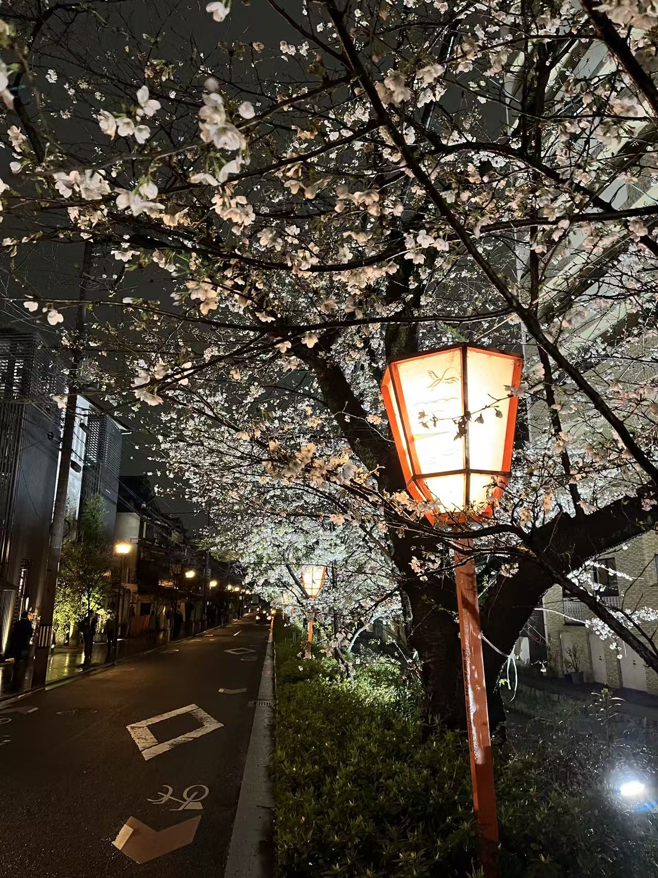 Conte d’Automne – Le Japon des rêves en couleurs d’automne 11 jours (19 Nov. 2026)