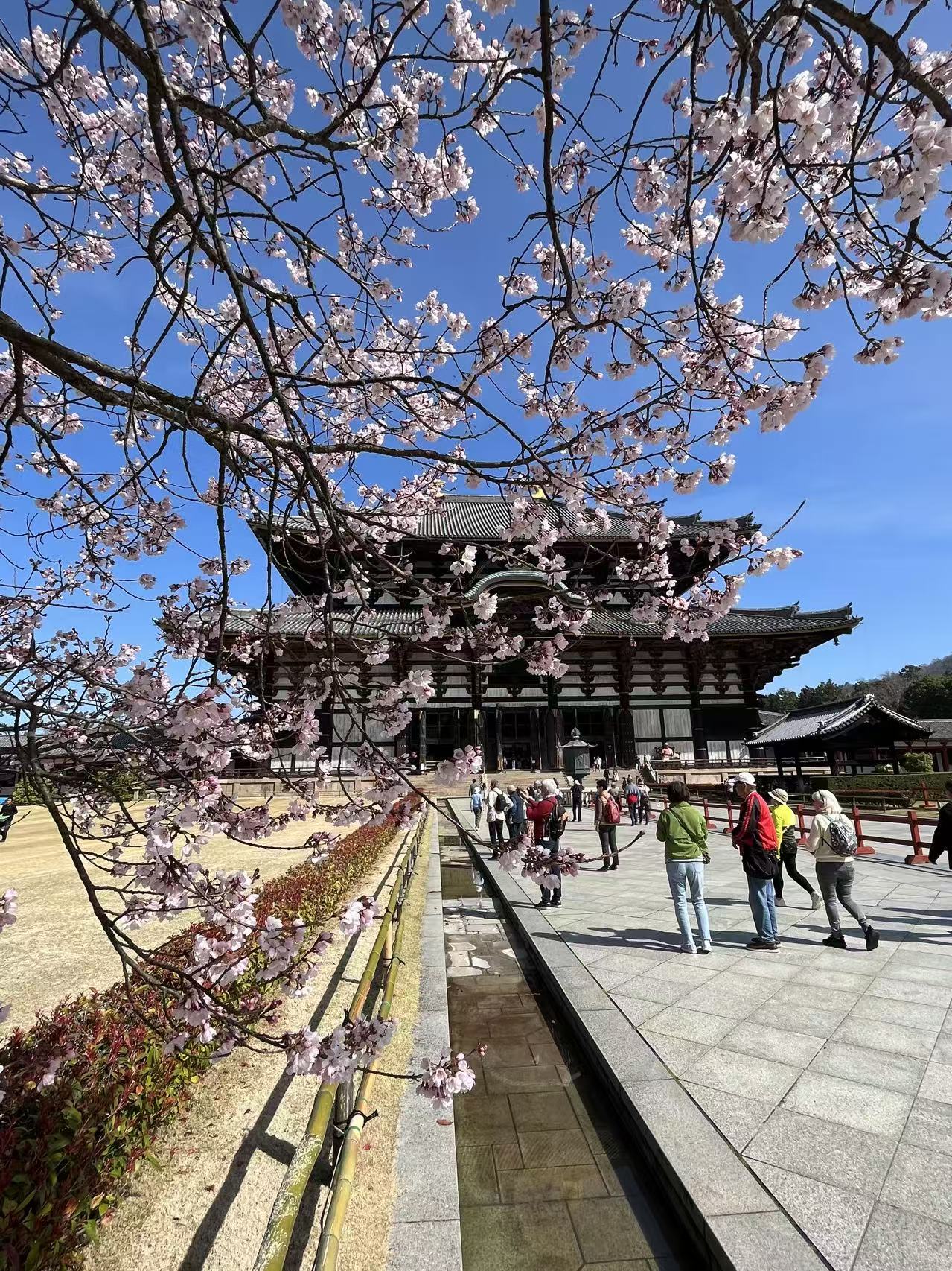 Conte d’Automne – Le Japon des rêves en couleurs d’automne 11 jours (19 Nov. 2026)