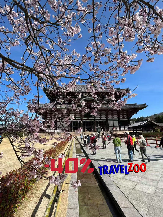 Sakura – Le Japon des Cerisiers en Fleurs 11 jours (21 Mar. 2027)